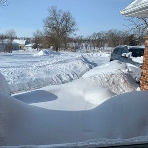 Meet your Posher, Sharon